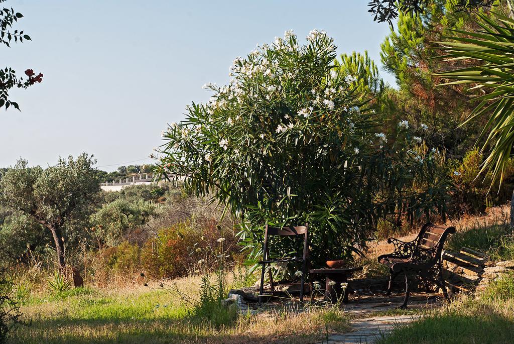Kortiri Studios Agios Nikolaos  Exterior foto